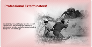 scottsdale-exterminating-white-mountain-exterminating-az-pest-control-service-3